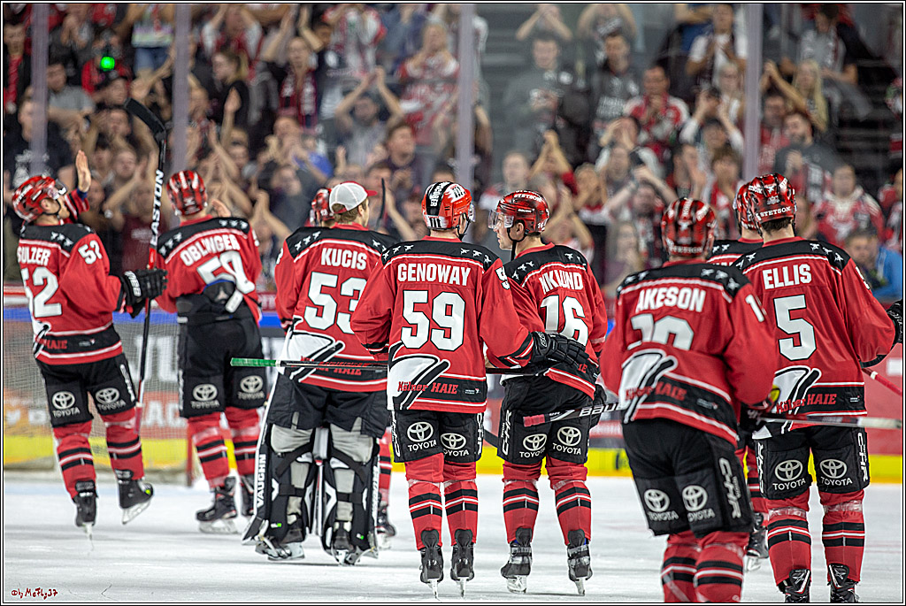 DEL; Koelner Haie - Adler Mannheim, 14.10.2018
